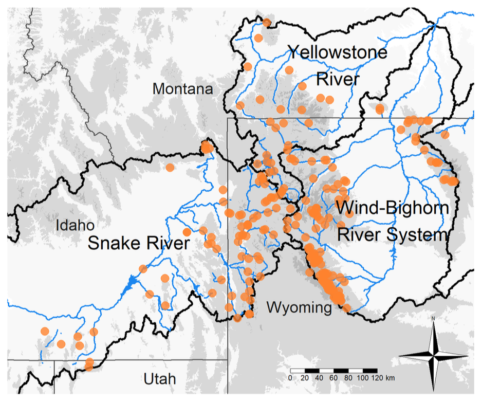 A map showing roughly 200 points scattered across Montana, Idaho, and Wyoming. Each point represents a sampling location. Blue lines are also shown, which correspond to rivers and streams in the area. Major watershed boundaries are also shown, which correspond to the Snake River, Yellowstone River, and Wind-Bighorn River system.
